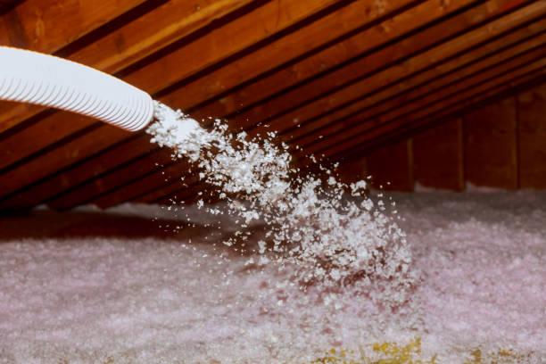 Best Residential Insulation Services  in West Point, UT