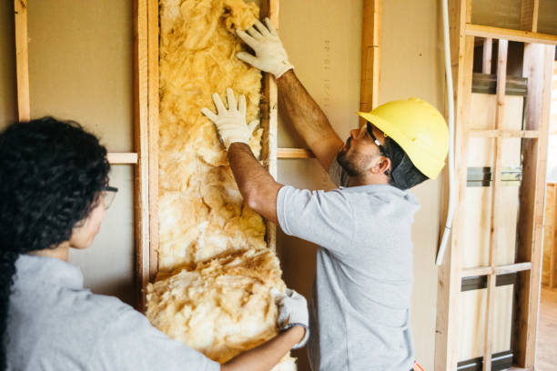 Best Home Insulation Services  in West Point, UT